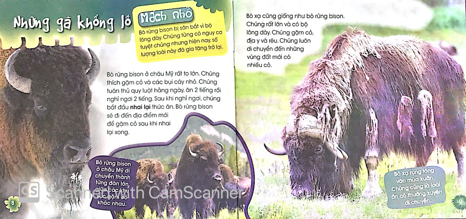 độc, lạ, phi thường - loài ăn chay - Ảnh 6