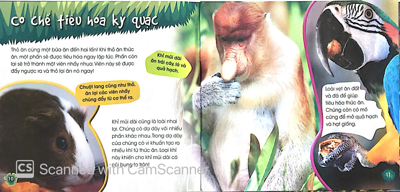 độc, lạ, phi thường - loài ăn chay - Ảnh 7