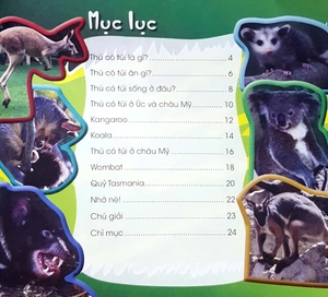 độc, lạ, phi thường - loài thú có túi - Ảnh 2