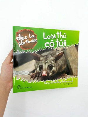 độc, lạ, phi thường - loài thú có túi - Ảnh 6