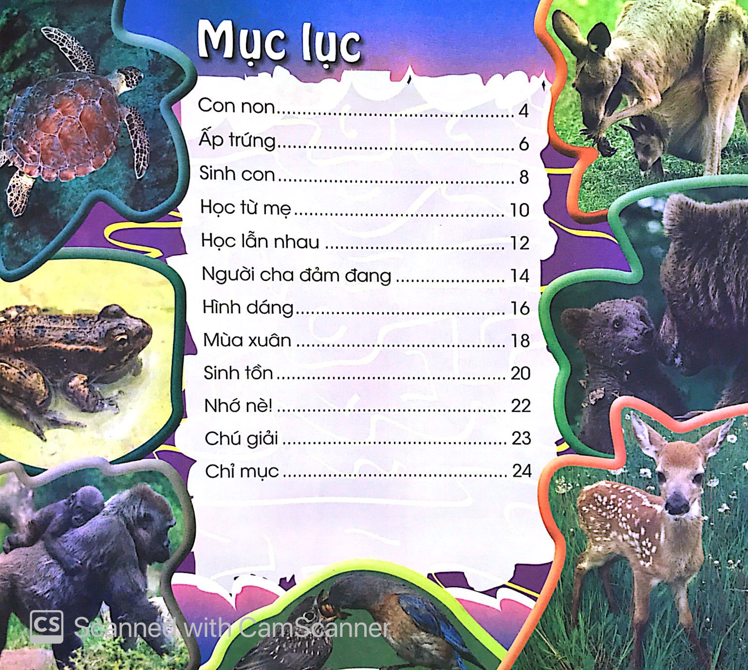 độc, lạ, phi thường - thú con bé bỏng - Ảnh 2