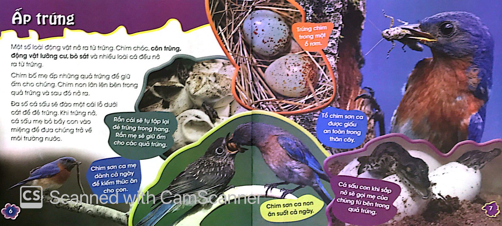 độc, lạ, phi thường - thú con bé bỏng - Ảnh 4