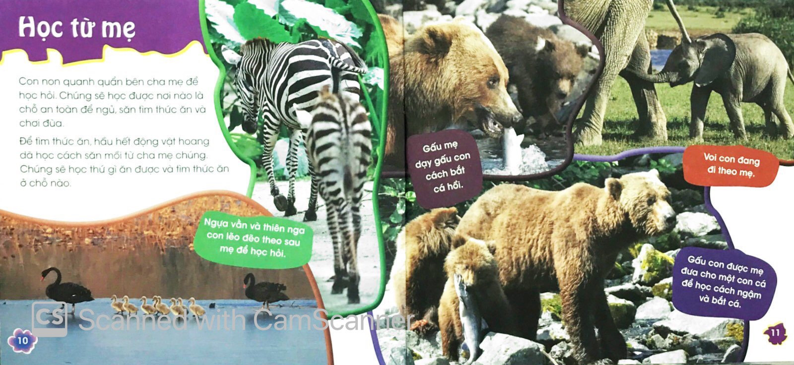 độc, lạ, phi thường - thú con bé bỏng - Ảnh 6