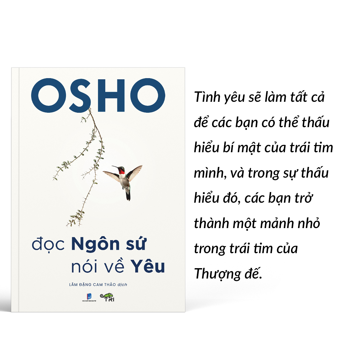 đọc ngôn sứ, nói về yêu - Ảnh 5