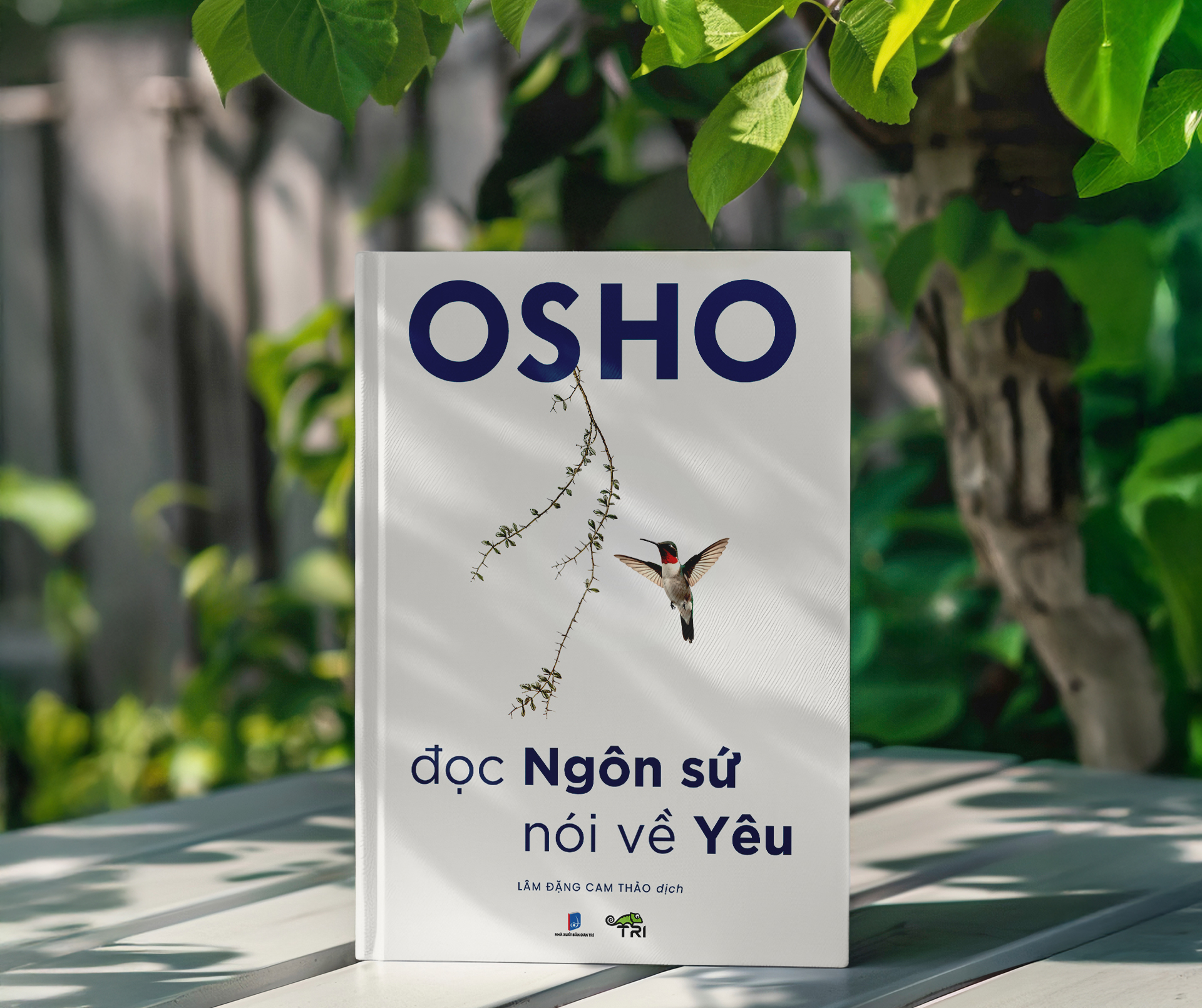 đọc ngôn sứ, nói về yêu - Ảnh 7
