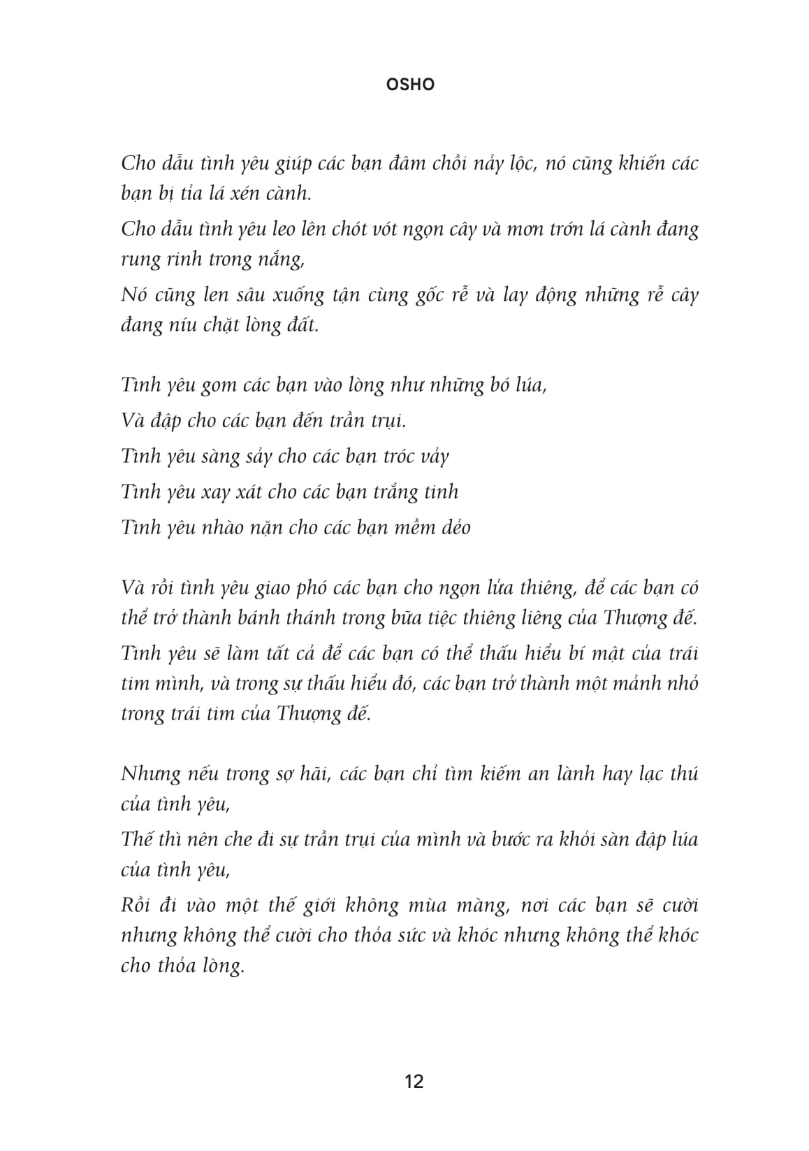 đọc ngôn sứ, nói về yêu - Ảnh 9