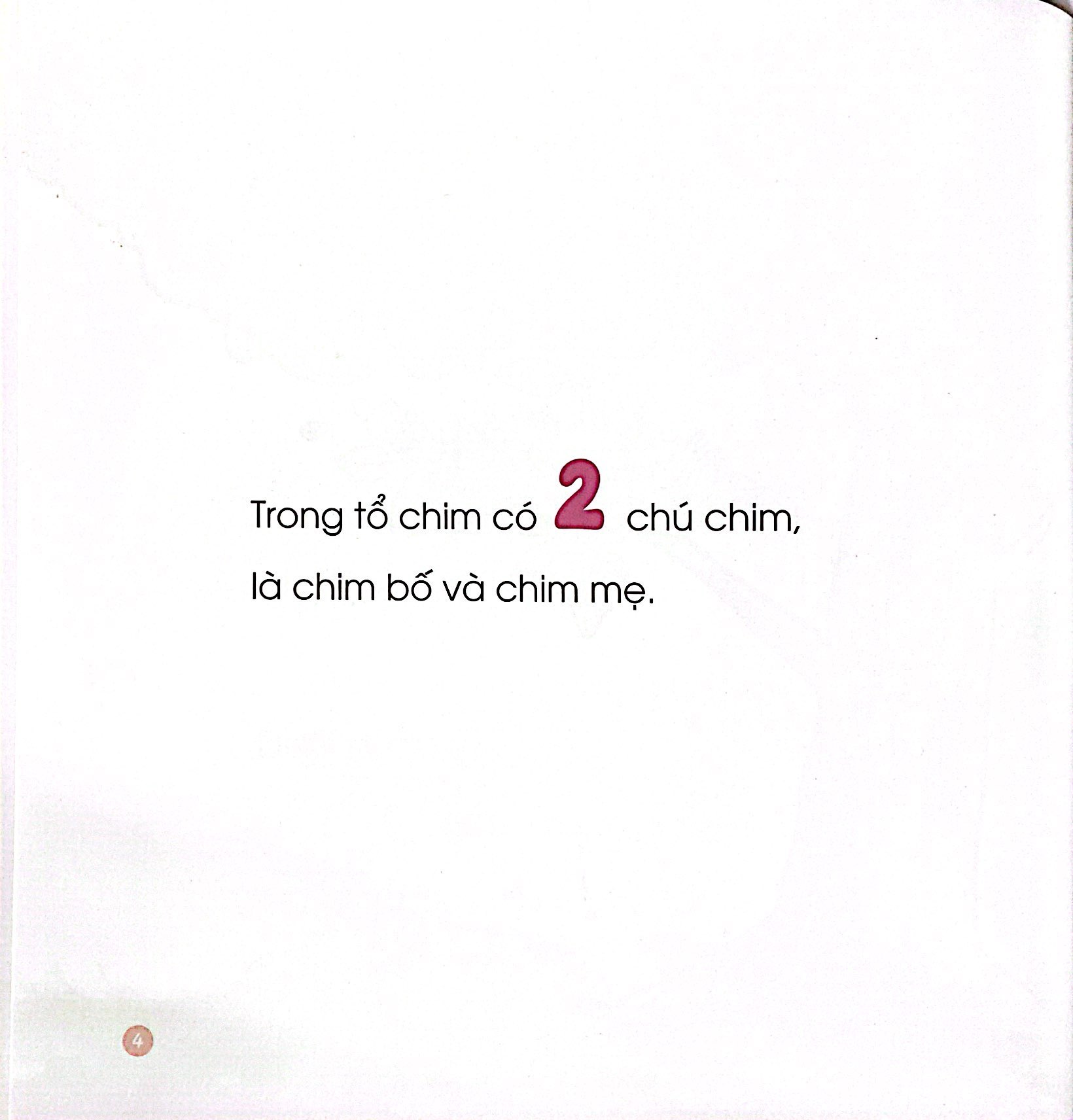 đọc và chơi - dưới vòm lá - Ảnh 5