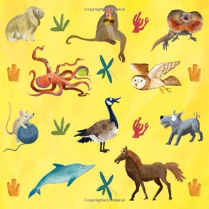 does a monkey get grumpy? - Ảnh 4