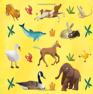 does a monkey get grumpy? - Ảnh 5