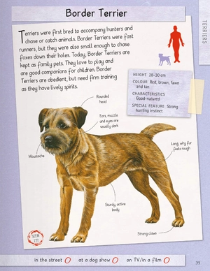 dogs handbook - Ảnh 4