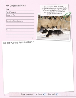 dogs handbook - Ảnh 5