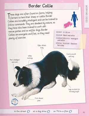 dogs handbook - Ảnh 6