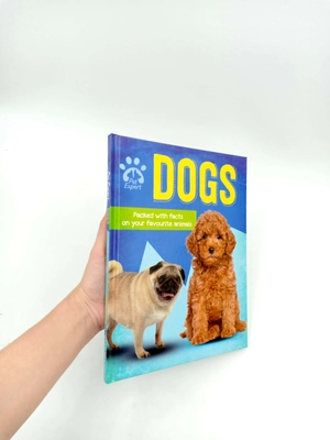 dogs (pet expert) - Ảnh 12