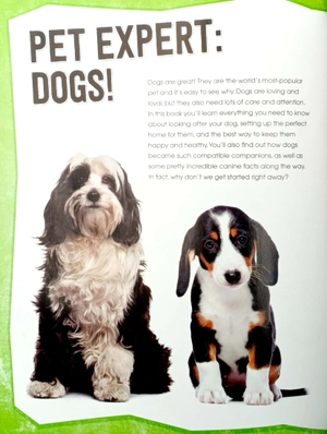 dogs (pet expert) - Ảnh 4