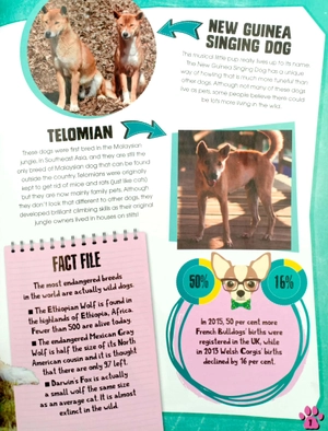 dogs (pet expert) - Ảnh 9