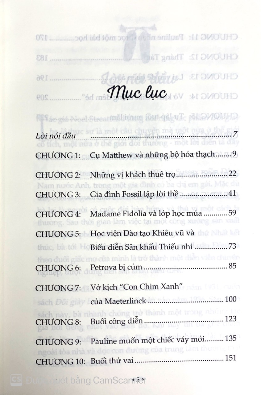 đôi giày ba-lê - Ảnh 3