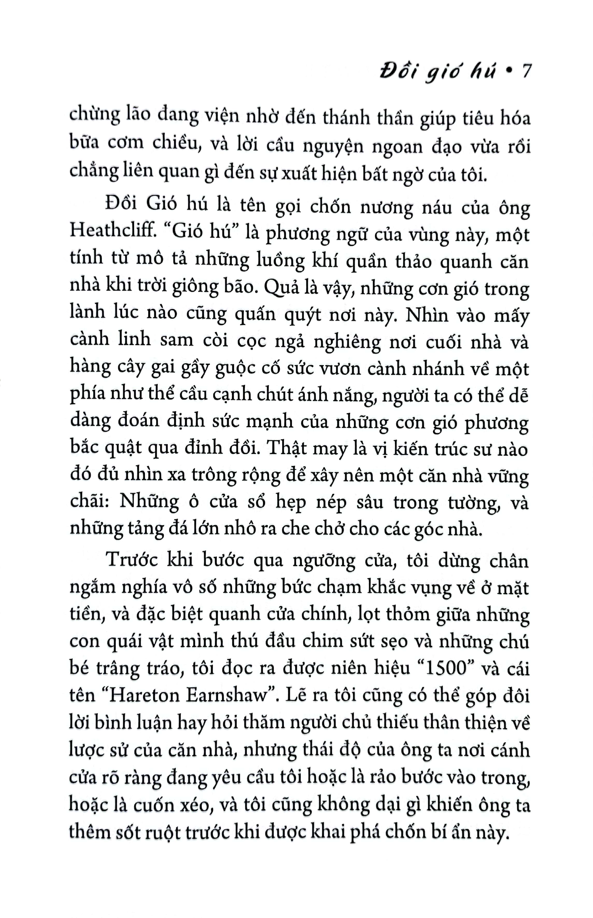 đồi gió hú - Ảnh 6
