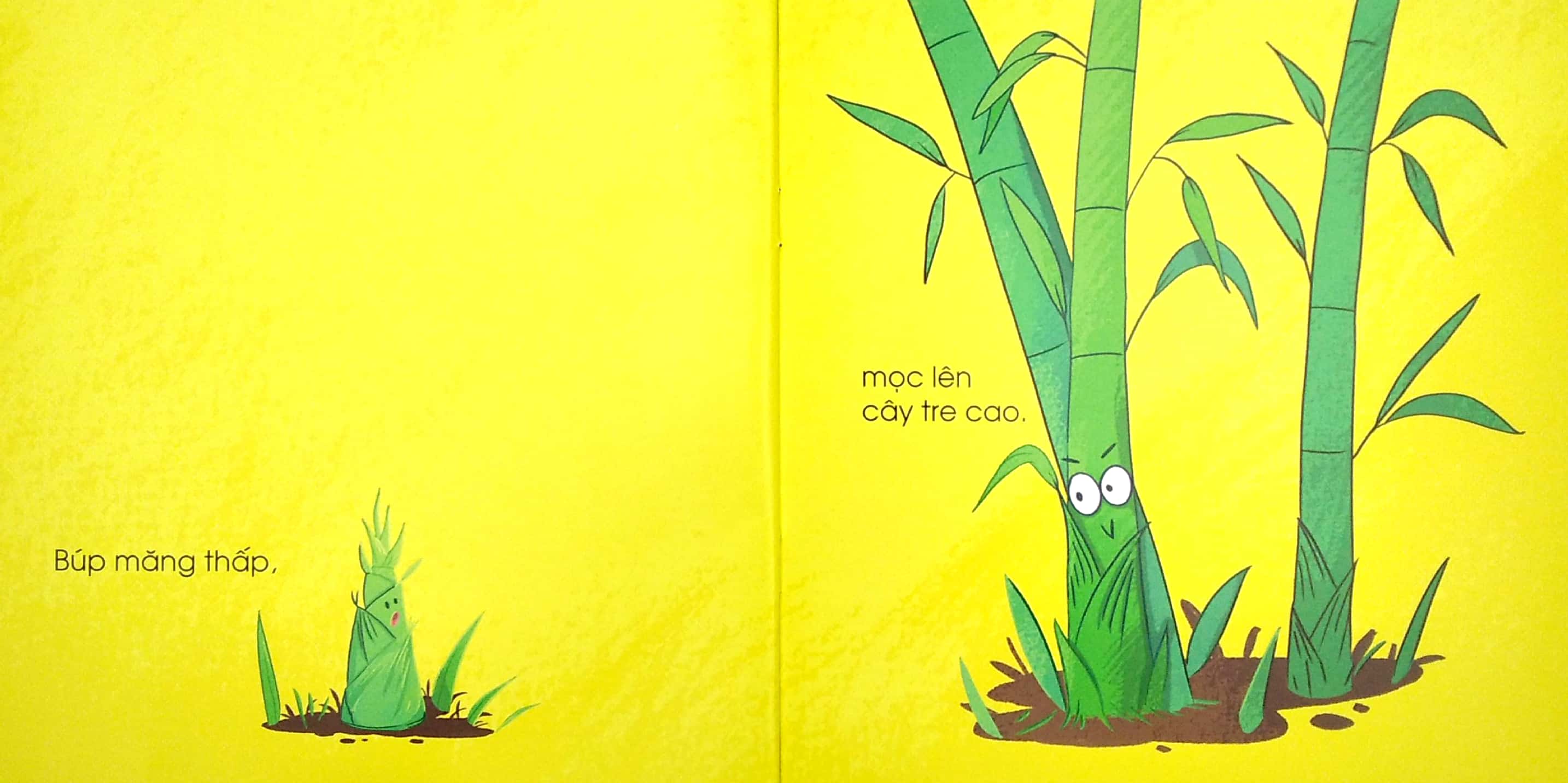 đối lập ngộ nghĩnh - cao - thấp - Ảnh 4