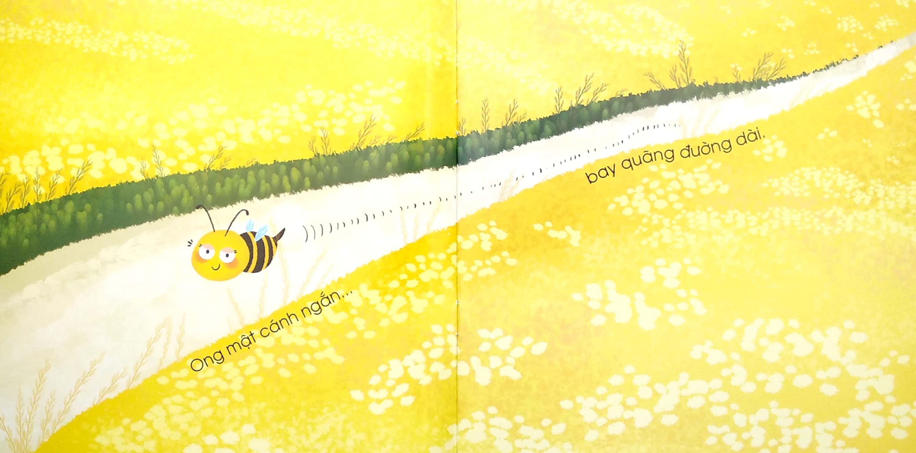 đối lập ngộ nghĩnh - ngắn - dài - Ảnh 3