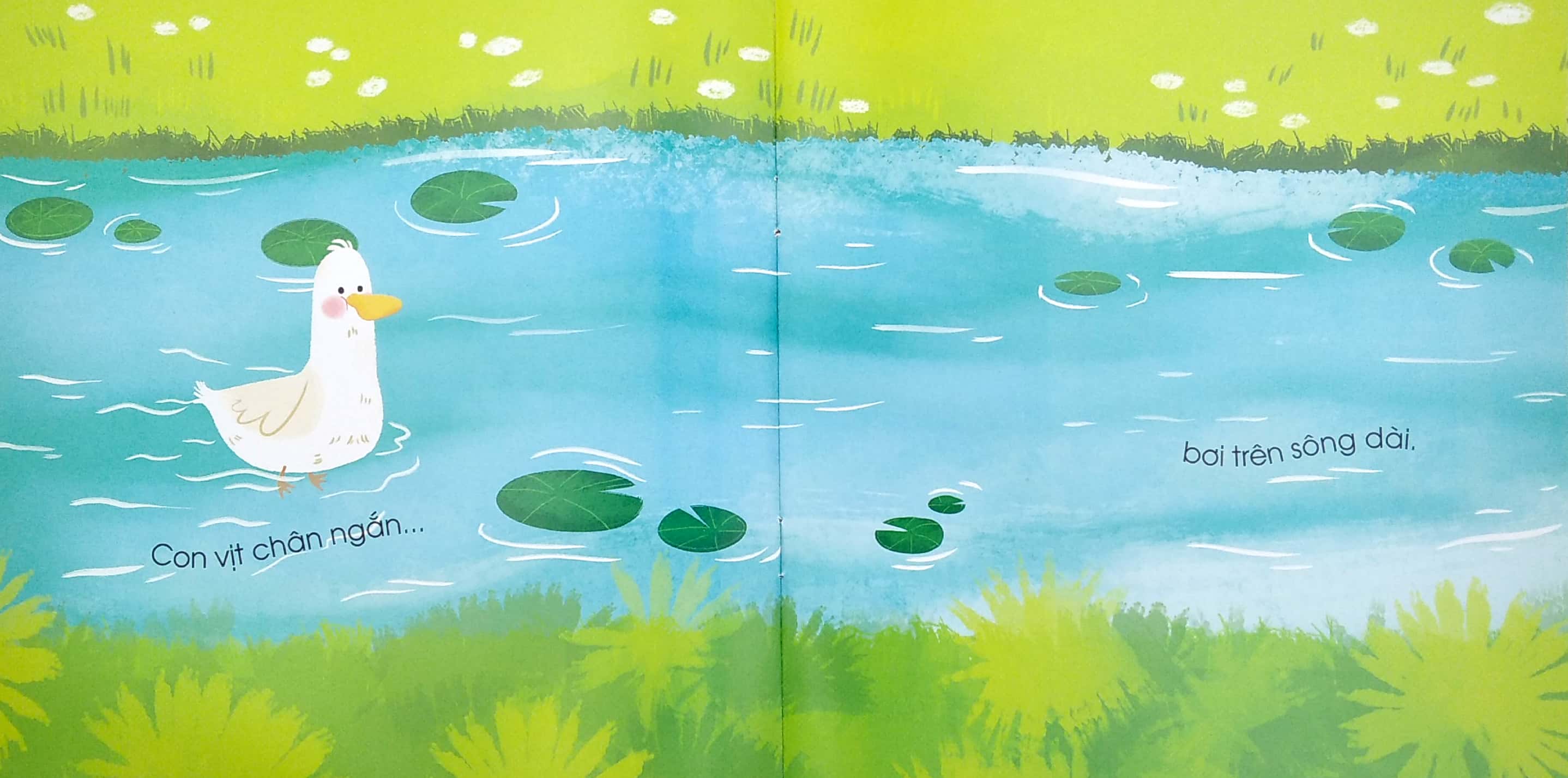 đối lập ngộ nghĩnh - ngắn - dài - Ảnh 5