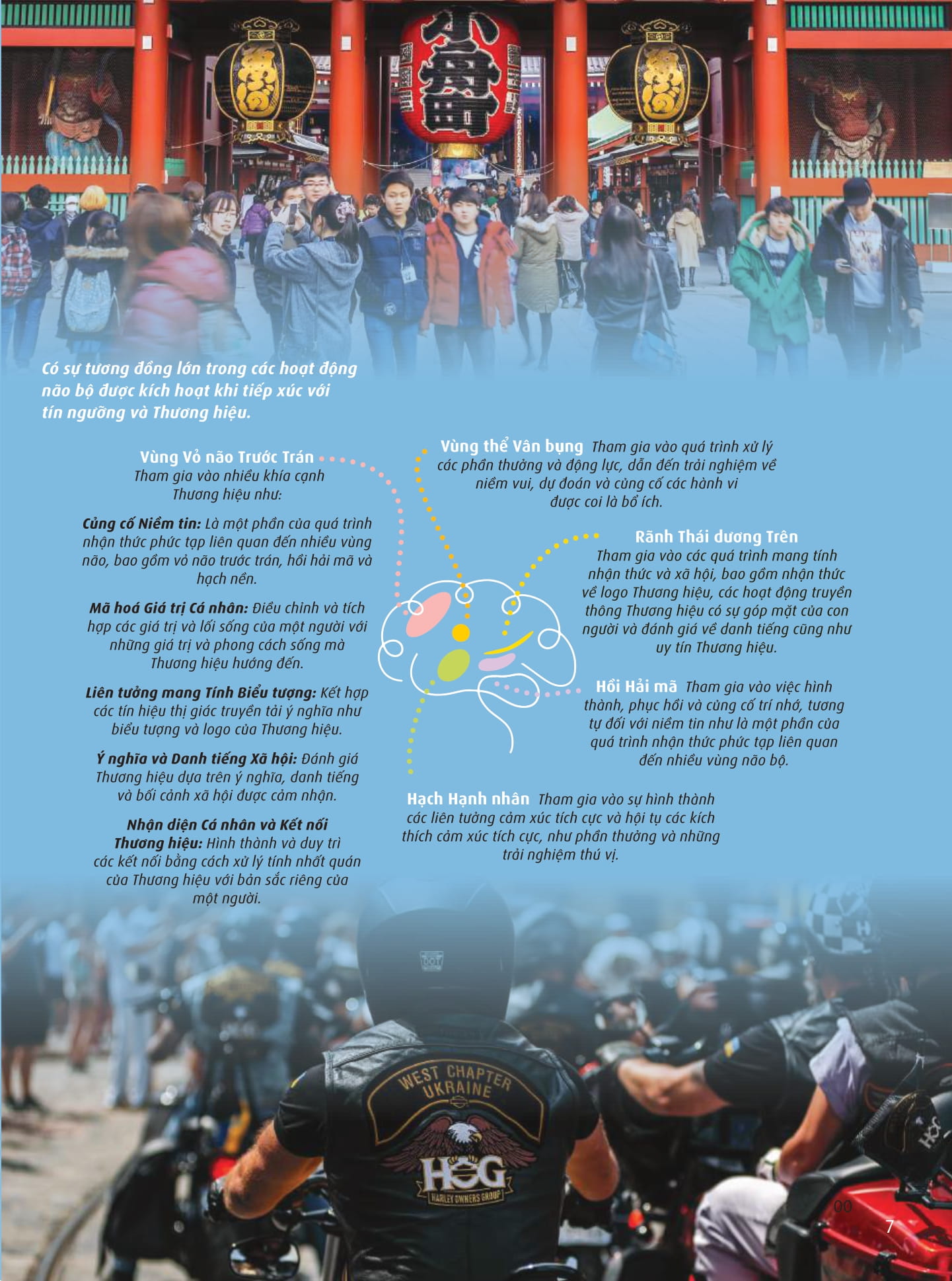 Đổi Mới Với Intergrated Brand Thinking - Ảnh 11