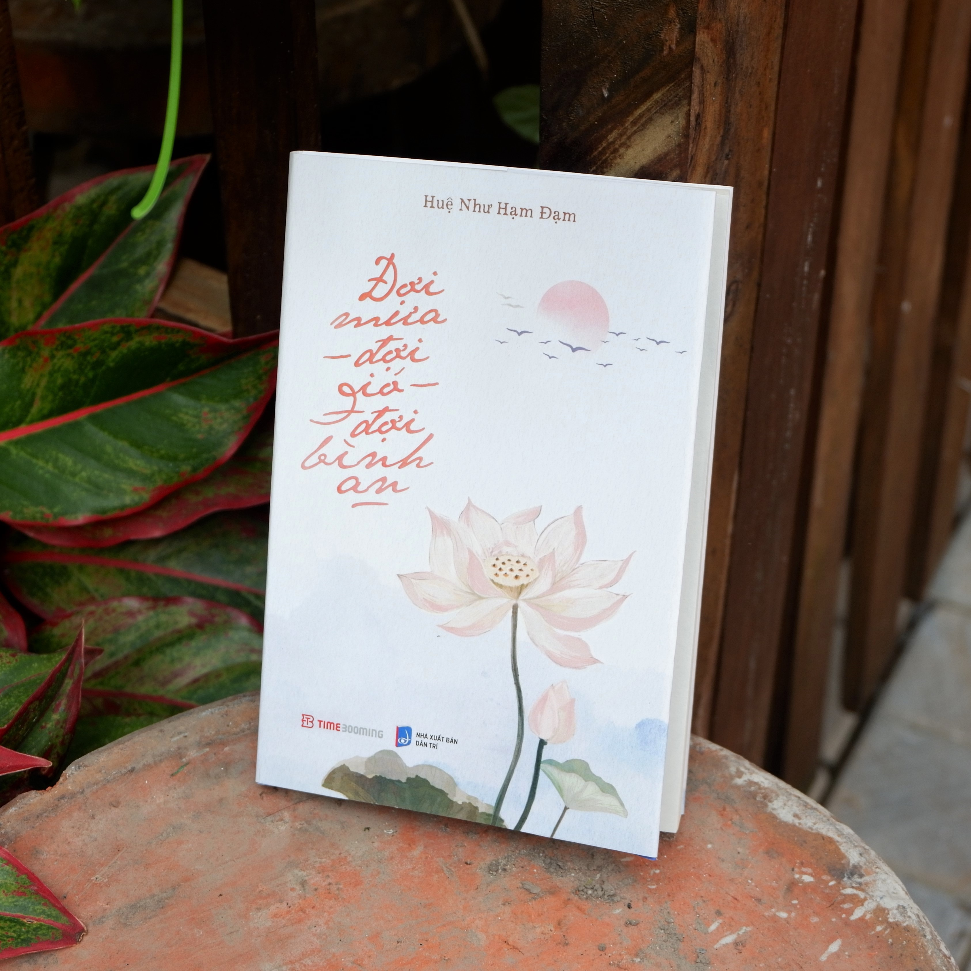 đợi mưa - đợi gió - đợi bình an - Ảnh 3