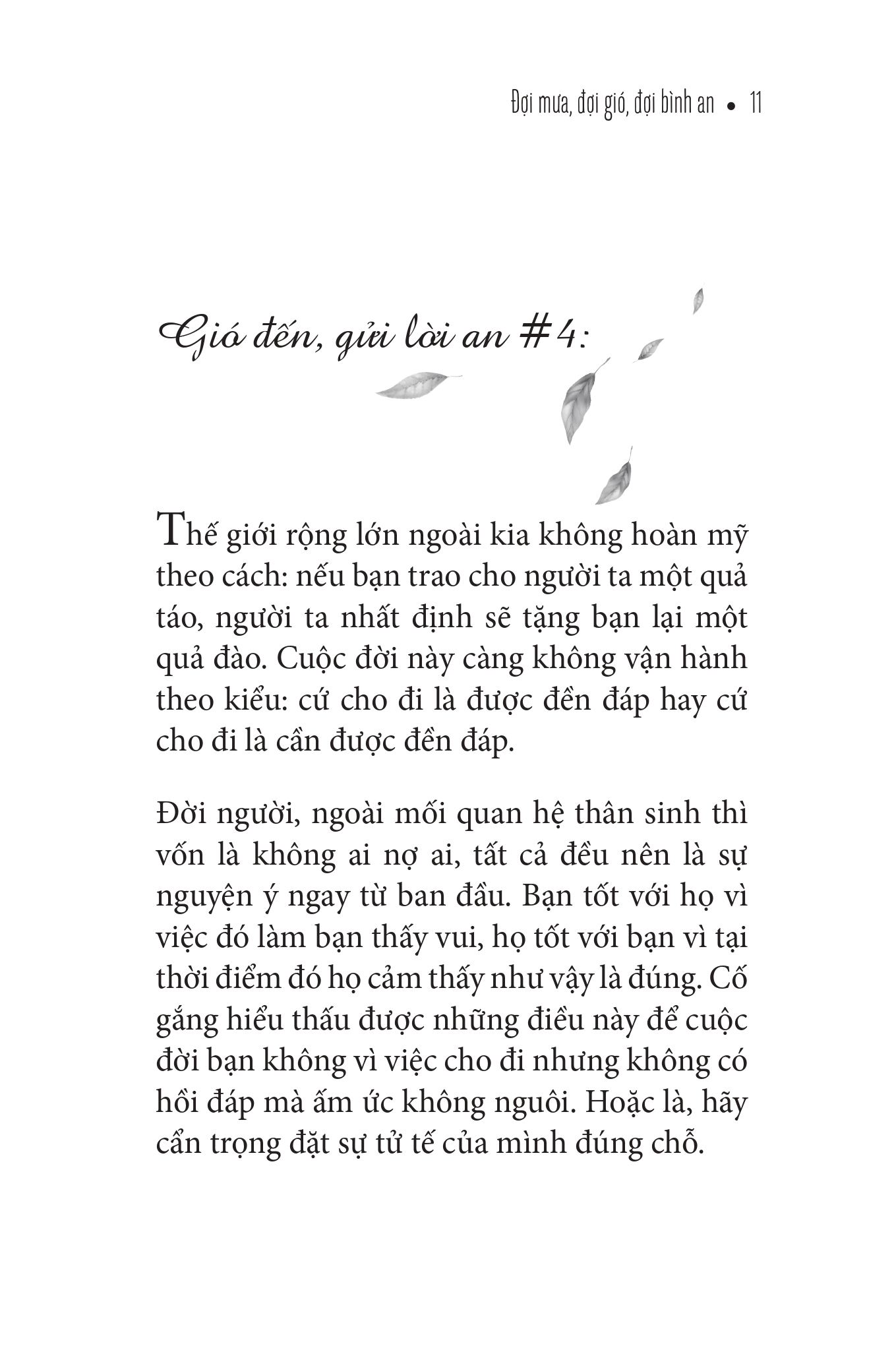 đợi mưa - đợi gió - đợi bình an - Ảnh 4