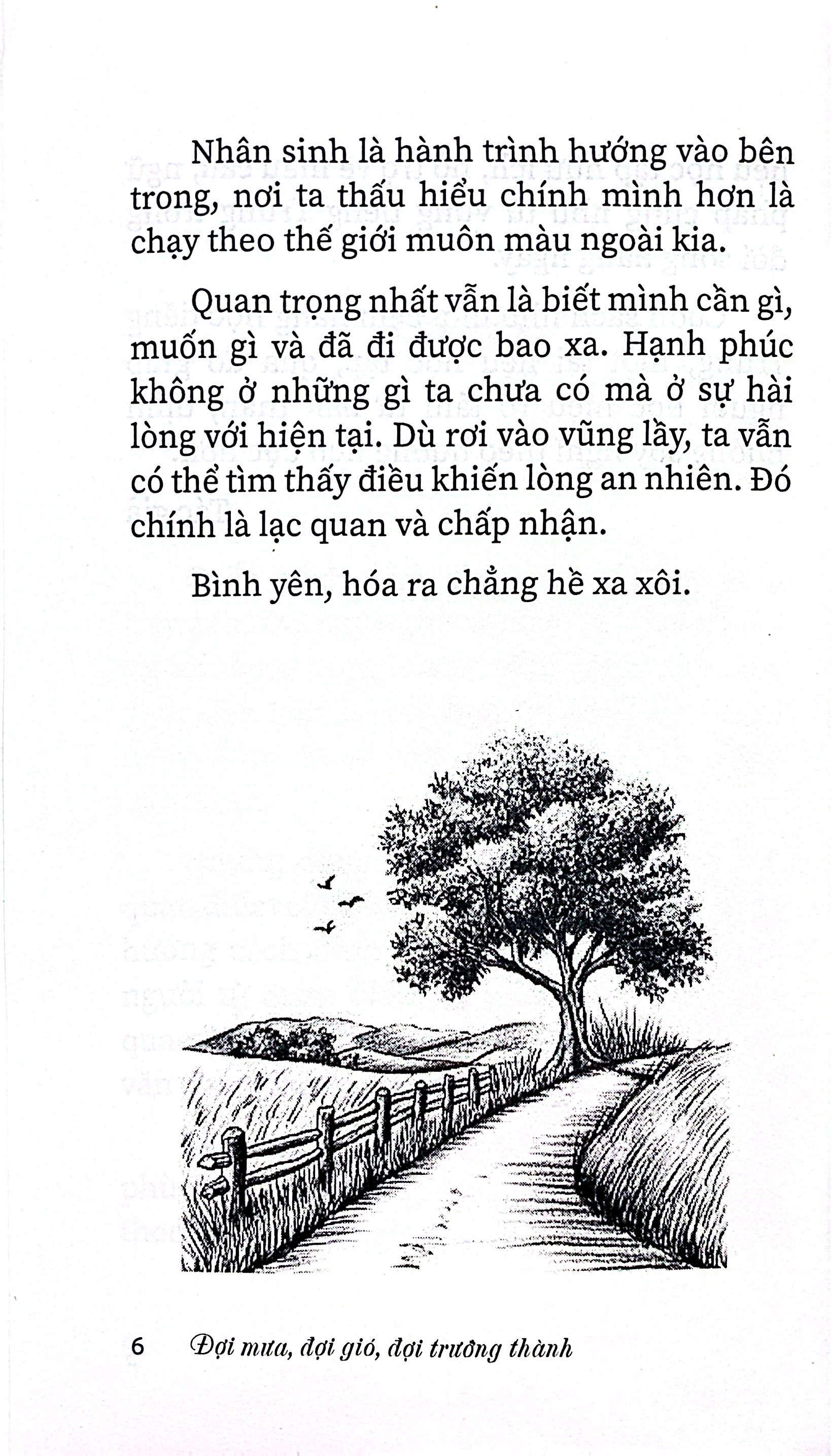 Doi Mua Doi Gio Doi Truong Thanh - Ảnh 5