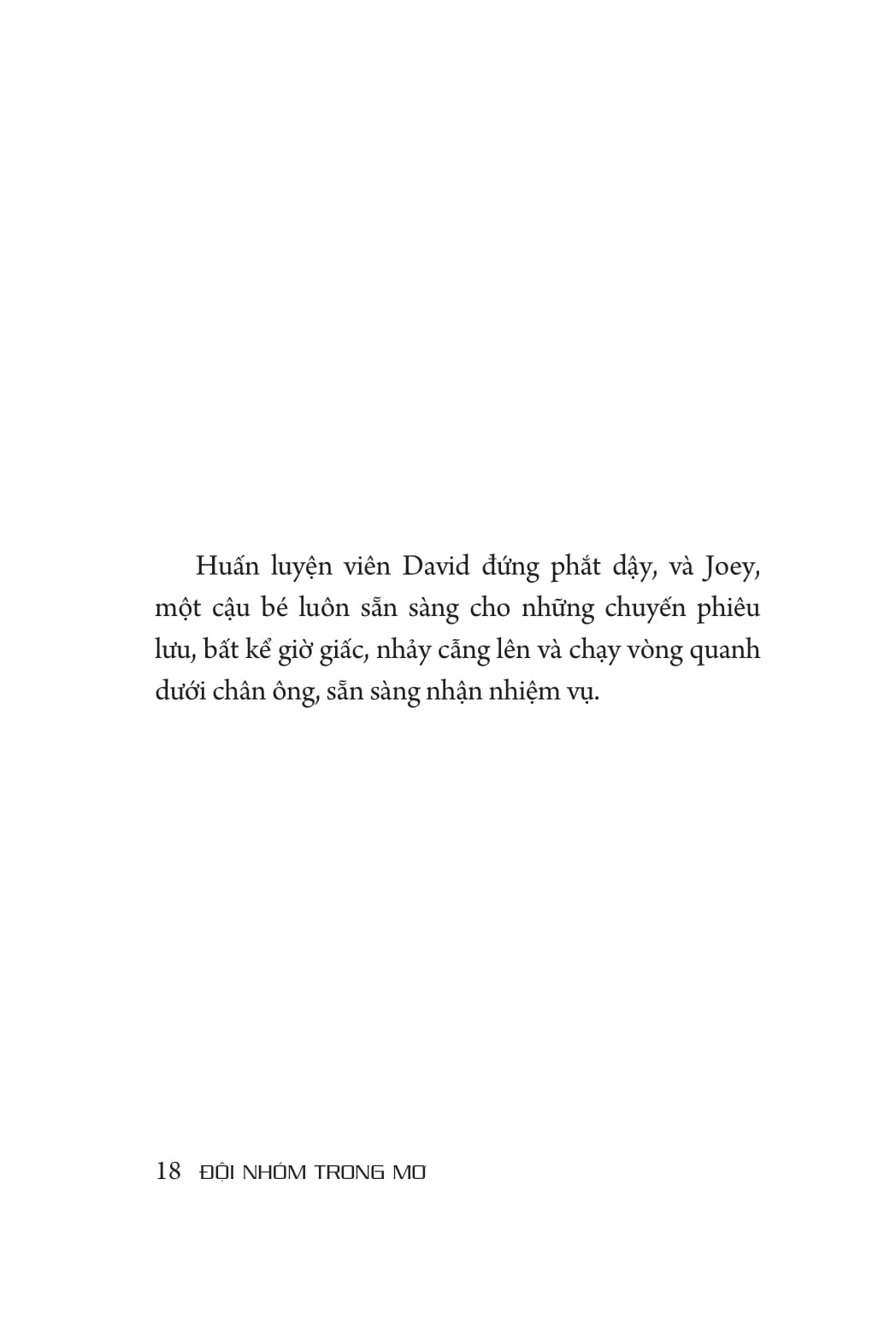 đội nhóm trong mơ - Ảnh 16