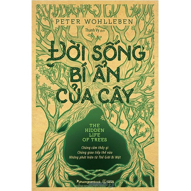 đời sống bí ẩn của cây - Ảnh 2