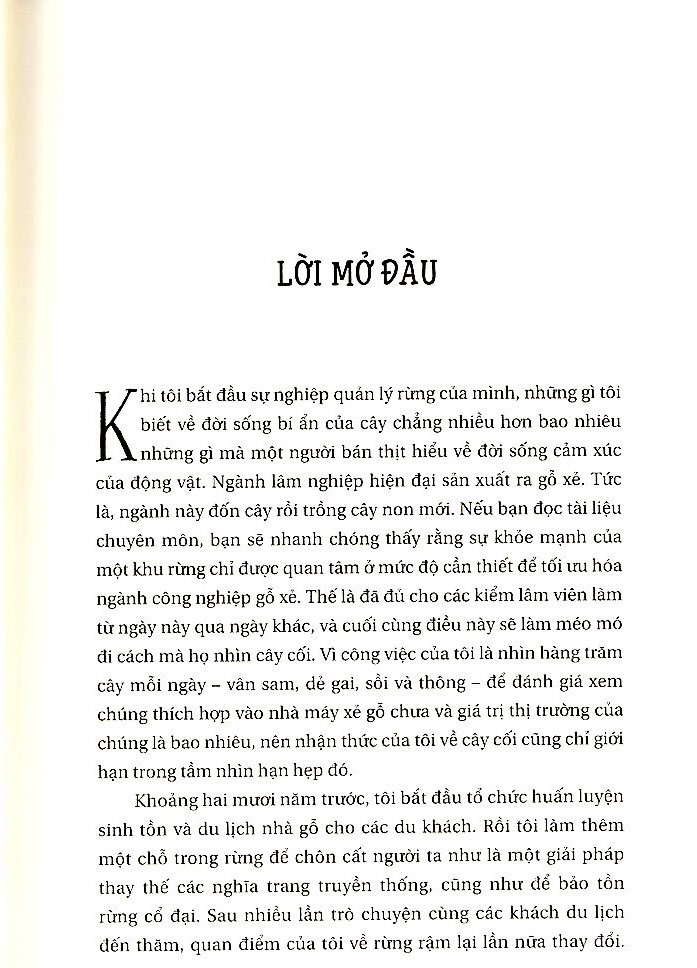 đời sống bí ẩn của cây - Ảnh 3