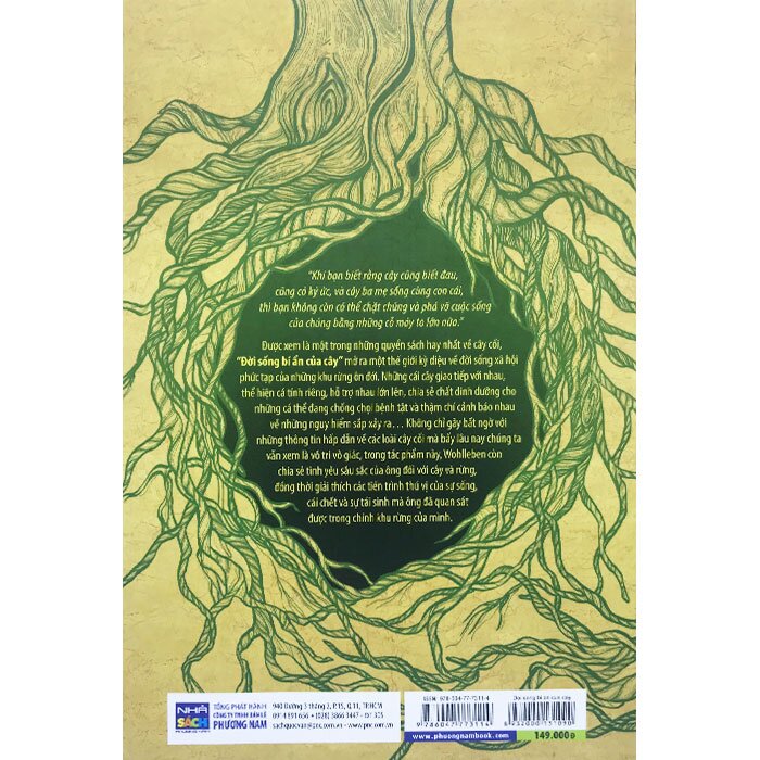 đời sống bí ẩn của cây - Ảnh 6