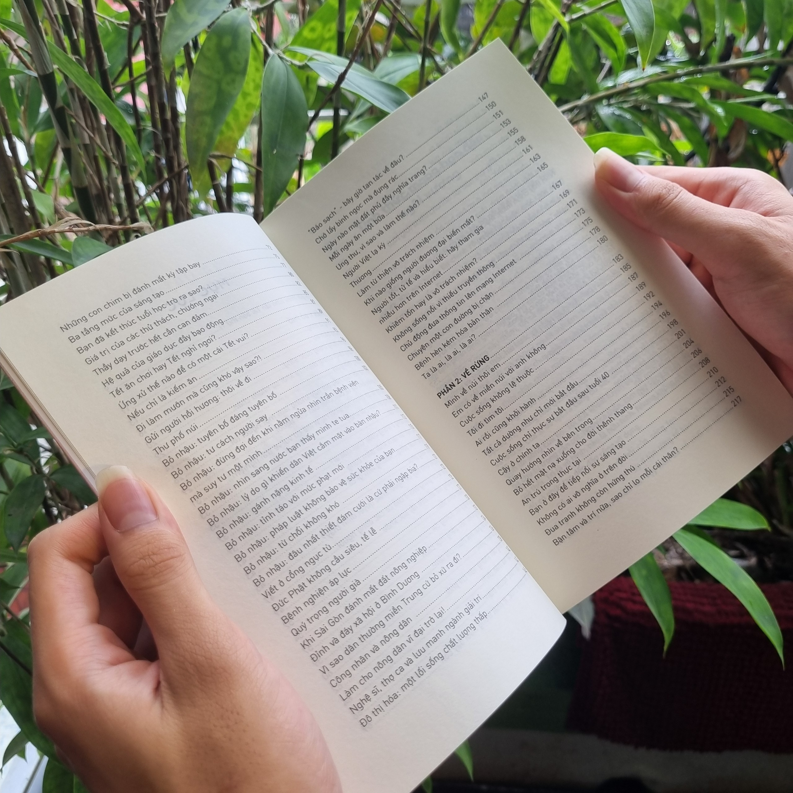 đời sống tỉnh thức - Ảnh 4