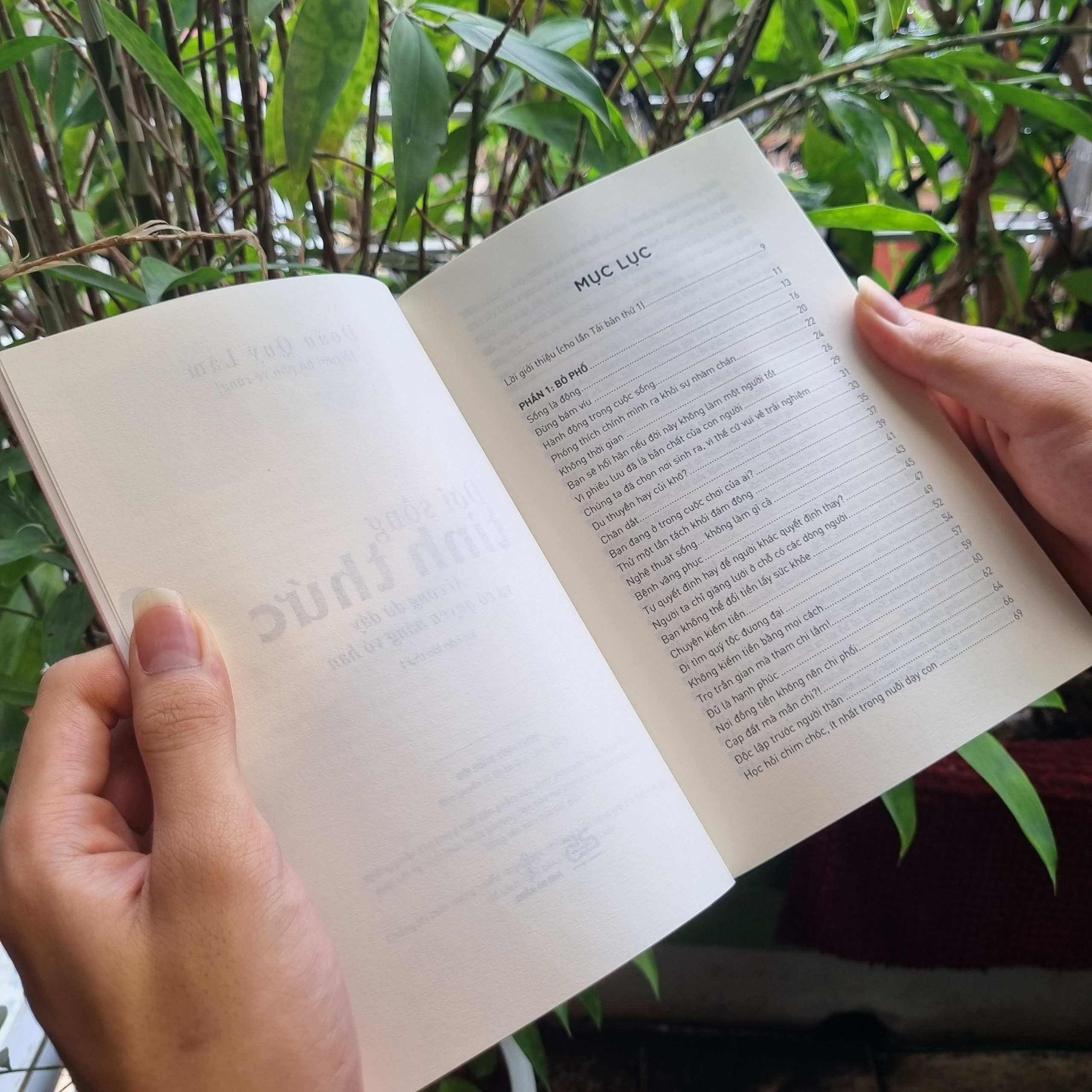 đời sống tỉnh thức - Ảnh 5