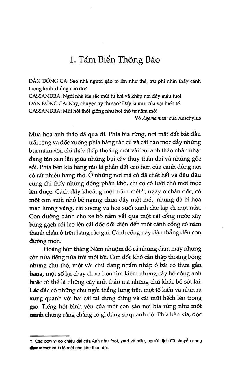 đồi thỏ (tái bản 2023) - Ảnh 6