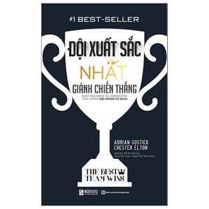 đội xuất sắc nhất giành chiến thắng - Ảnh 2