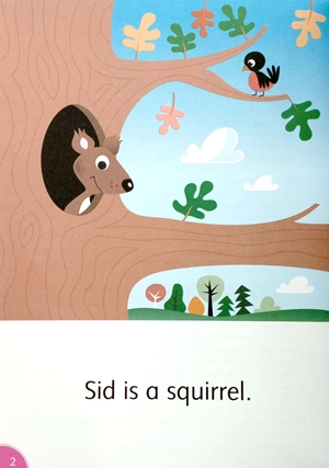 dolphins starter: silly squirrel - Ảnh 5