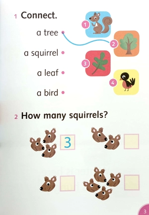 dolphins starter: silly squirrel - Ảnh 6