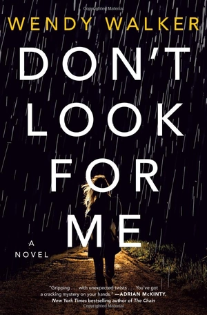 don't look for me - Ảnh 2