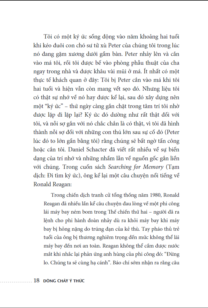 dòng chảy ý thức - the river of consciousness - Ảnh 9