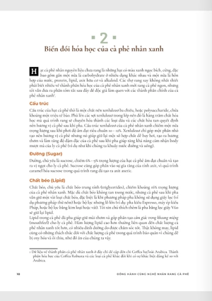 đồng hành cùng nghệ nhân rang cà phê - Ảnh 5