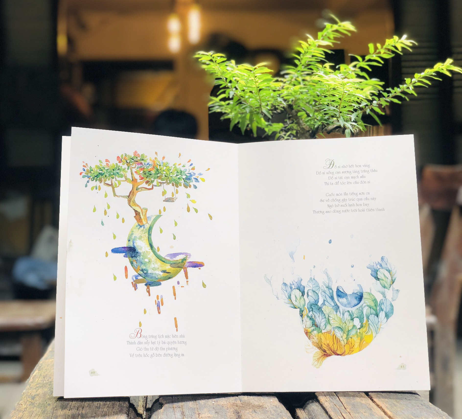 động hoa vàng - Ảnh 5