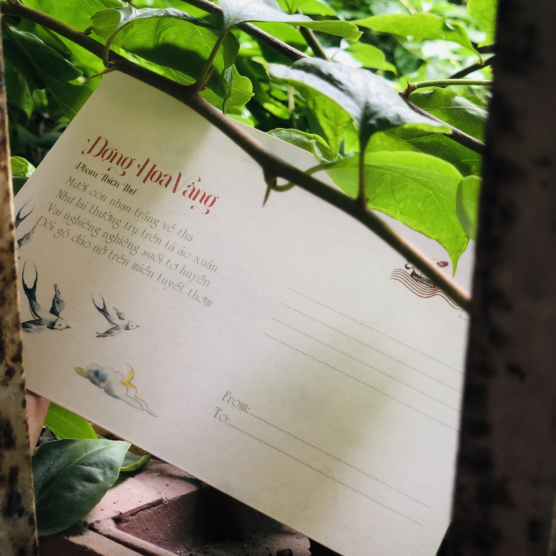 động hoa vàng - Ảnh 6