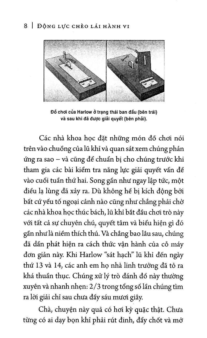 động lực chèo lái hành vi (tái bản) - Ảnh 5