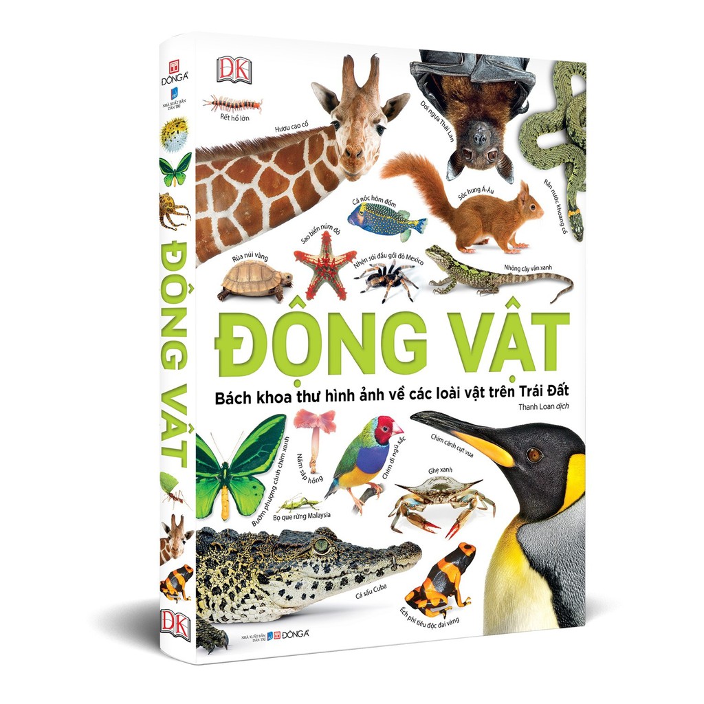 động vật - bách khoa thư hình ảnh về các loài vật trên trái đất - Ảnh 2