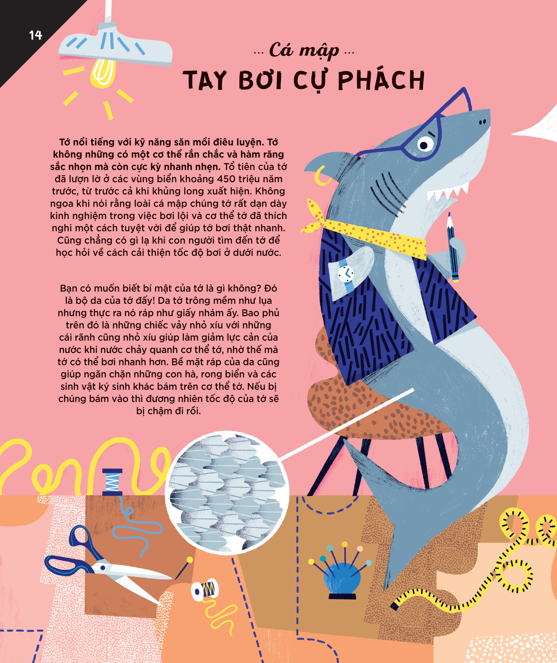 động vật có tầm ảnh hưởng - hạng mục: phát minh - nguồn cảm hứng cho những công nghệ tiên tiến của loài người - Ảnh 11