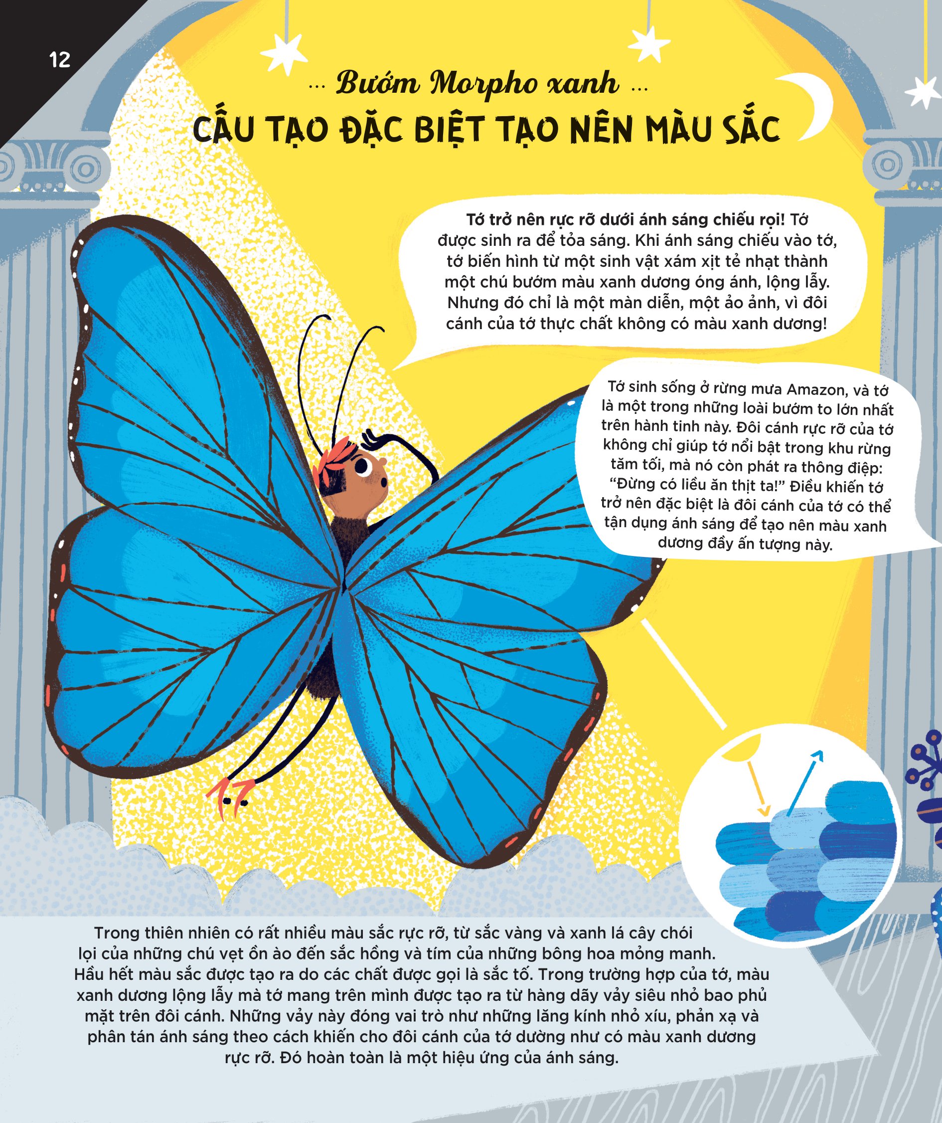 động vật có tầm ảnh hưởng - hạng mục: phát minh - nguồn cảm hứng cho những công nghệ tiên tiến của loài người - Ảnh 9