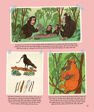 động vật có tầm ảnh hưởng - hạng mục: thành tựu trọn đời - nguồn cảm hứng mỗi ngày của loài người - Ảnh 11