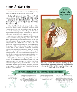 động vật có tầm ảnh hưởng - hạng mục: thành tựu trọn đời - nguồn cảm hứng mỗi ngày của loài người - Ảnh 8