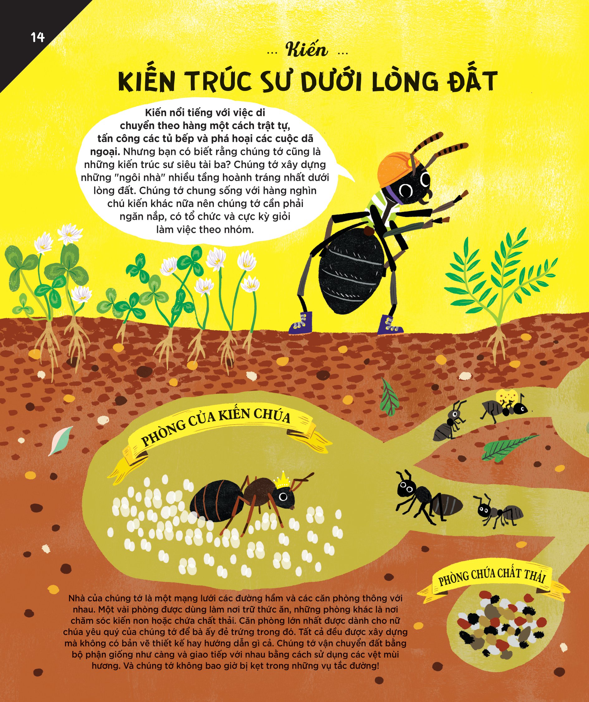 động vật có tầm ảnh hưởng - hạng mục: xây dựng - nguồn cảm hứng cho những công trình kiến trúc của loài người - Ảnh 11